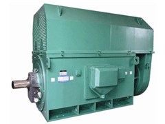 YKS4506-2Y系列6KV高压电机